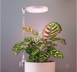 Lampa pentru plante led 10W