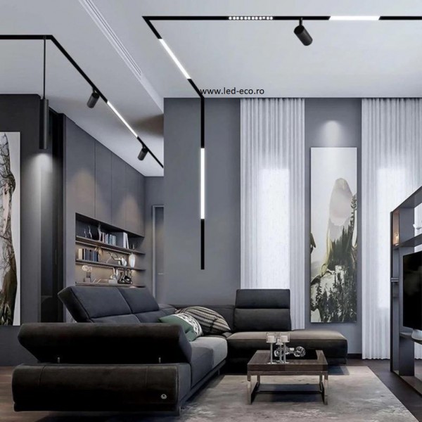 Proiectoare led 20W sina magnetica