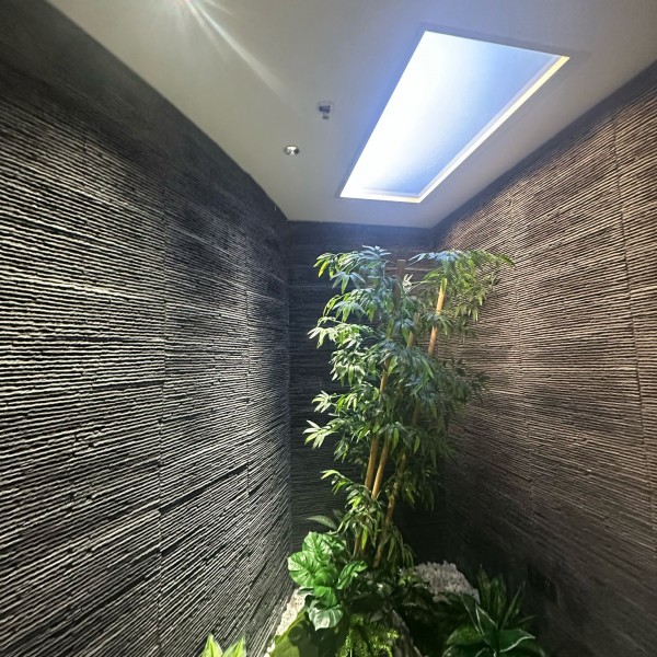 Fereastra falsa led 60x30