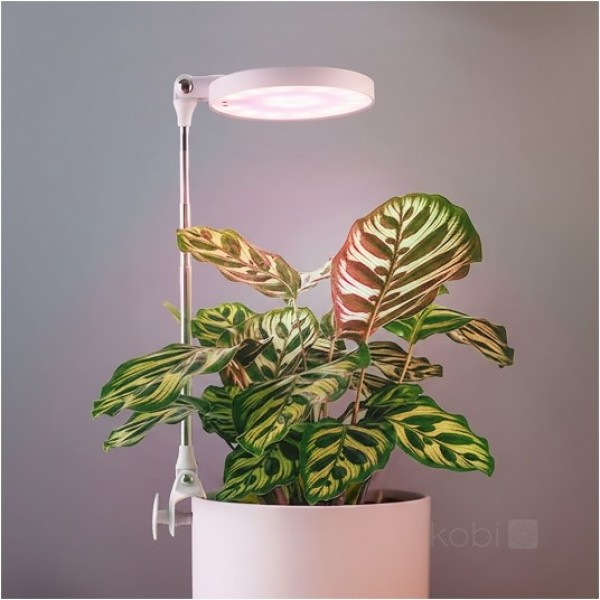 Lampa pentru plante led 10W