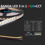 Banda led rgbww 24v