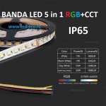 Banda led rgb+cct waterproof